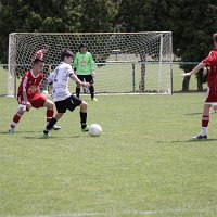 IMG 0795